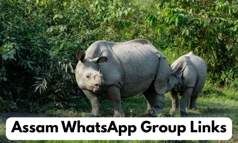 Assam WhatsApp Group Links